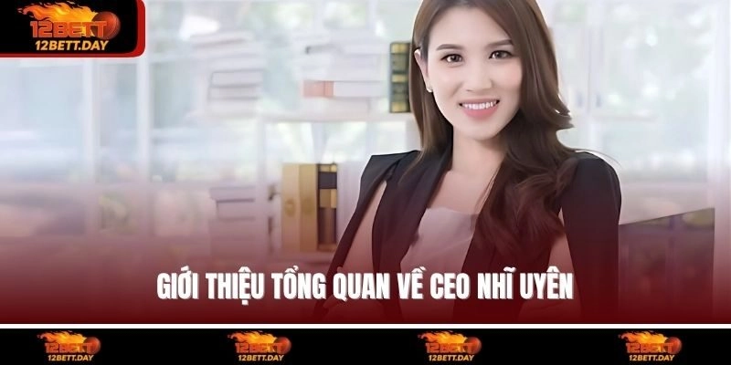 Giới thiệu tổng quan về CEO Nhĩ Uyên